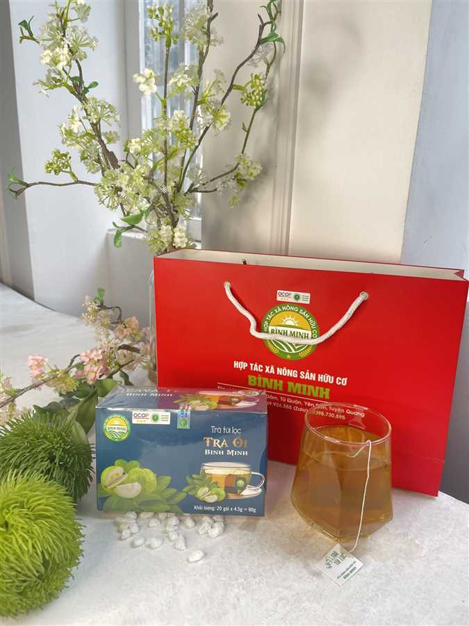 Trà ổi Bình Minh - Tuyên Quang